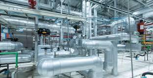 WhatsApp Image 2025 06 12 at 11.37.12 AM