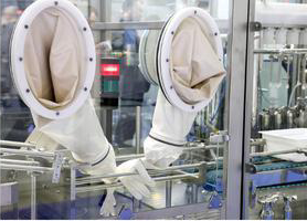 WhatsApp Image 2025 06 12 at 11.37.34 AM 1 1