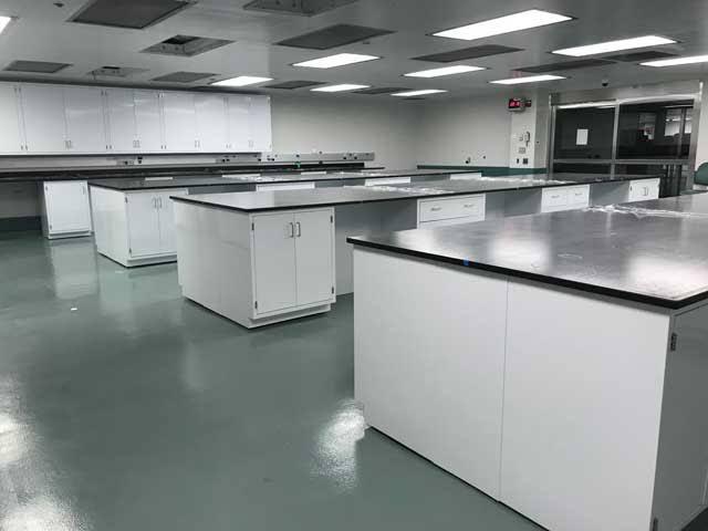 WhatsApp Image 2025 06 12 at 11.43.03 AM