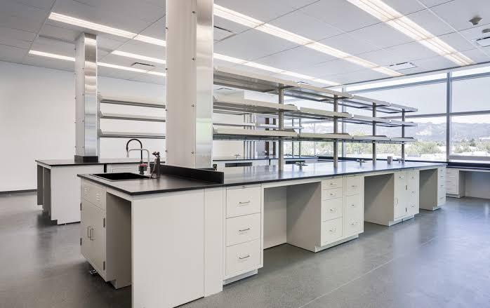 WhatsApp Image 2025 06 12 at 11.43.04 AM